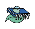 Wassertiere