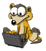 Pepe, das Chat-Maskottchen