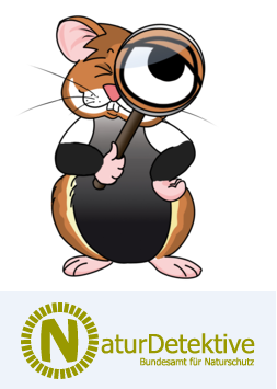 Naturdetektive: Hamster Konstantin