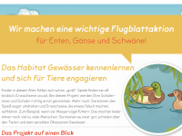 PDF zum Download