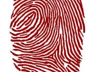 Der Fingerabdruck des Menschen