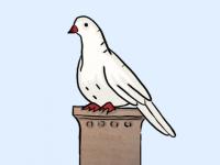 Pfingsten weiße Taube als Symbol für Pfingsten