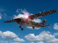 Zebraflieger aus Die Buschpiloten 