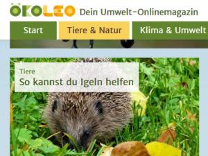 Ein Igel im Gras