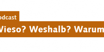 v Screen wieso? weshalb? warum?