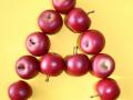 Mit Naturmaterialien das ABC lernen ABC Buchstaben Reime